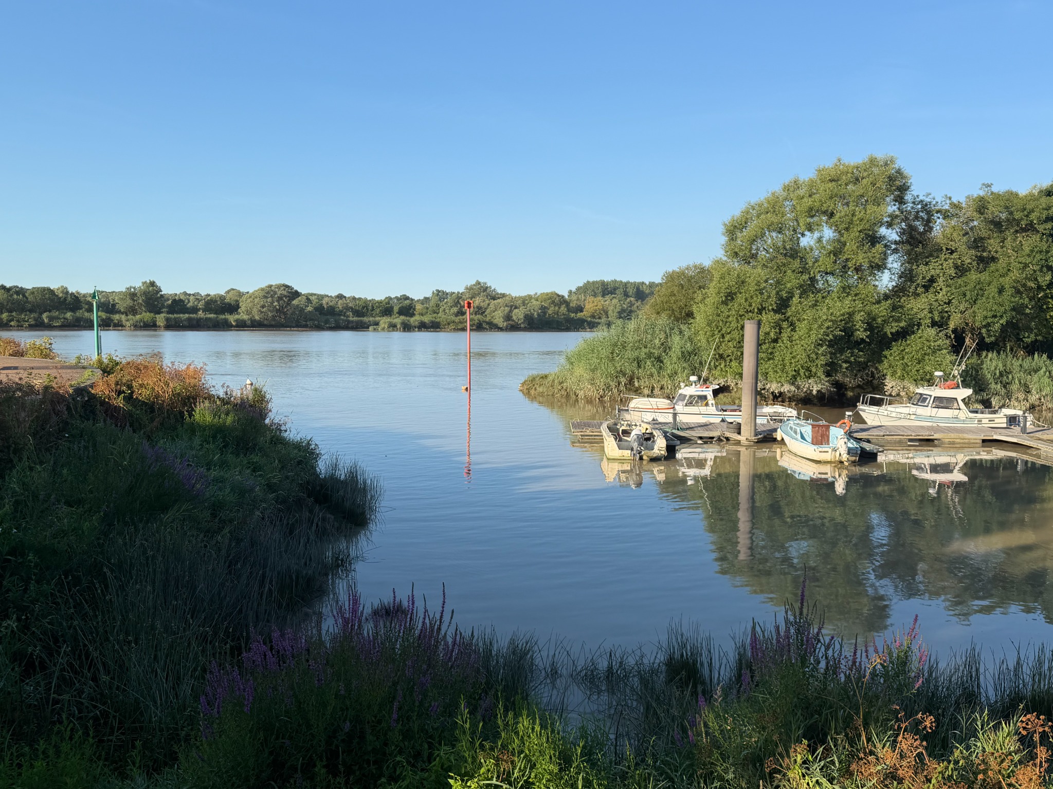 La Loire à Couëron